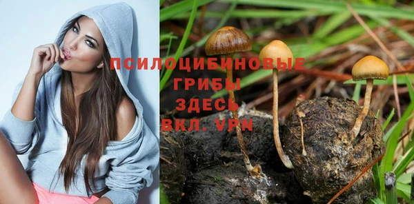 ПСИЛОЦИБИНОВЫЕ ГРИБЫ Алзамай