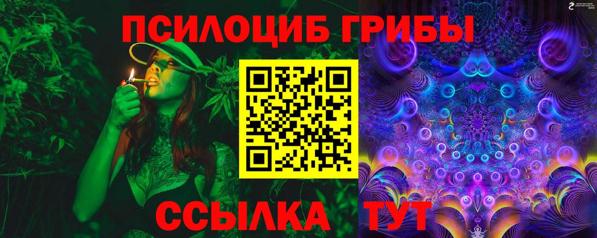 Псилоцибиновые грибы MAGIC MUSHROOMS  Вход с VPN  Сухой Лог 